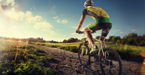 Sport. Mountain Bike cyclist riding single track - ©vitaliy_melnik - stock.adobe.com